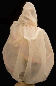 Closed Bag of Winds, hidden from Odysseus' crew